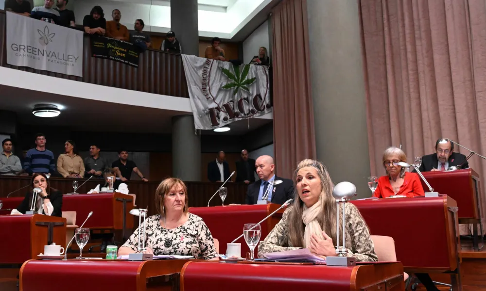 Diputada Jacqueline Caminoa