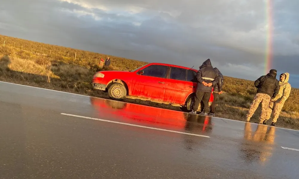 Detenidos por intentar robar ovejas