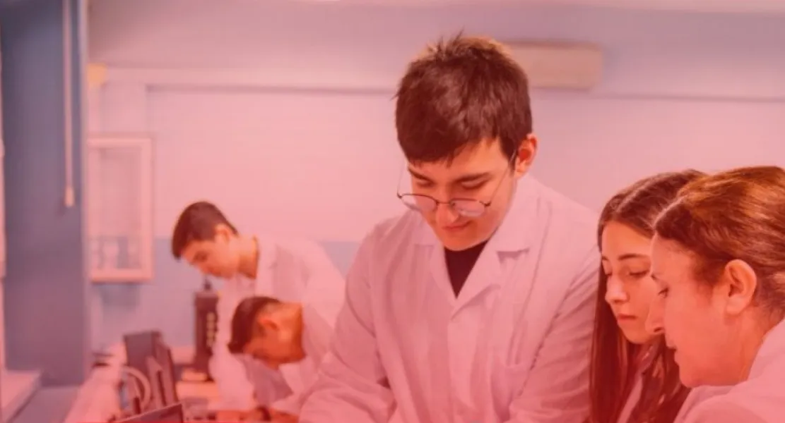 docentes vaca muerta