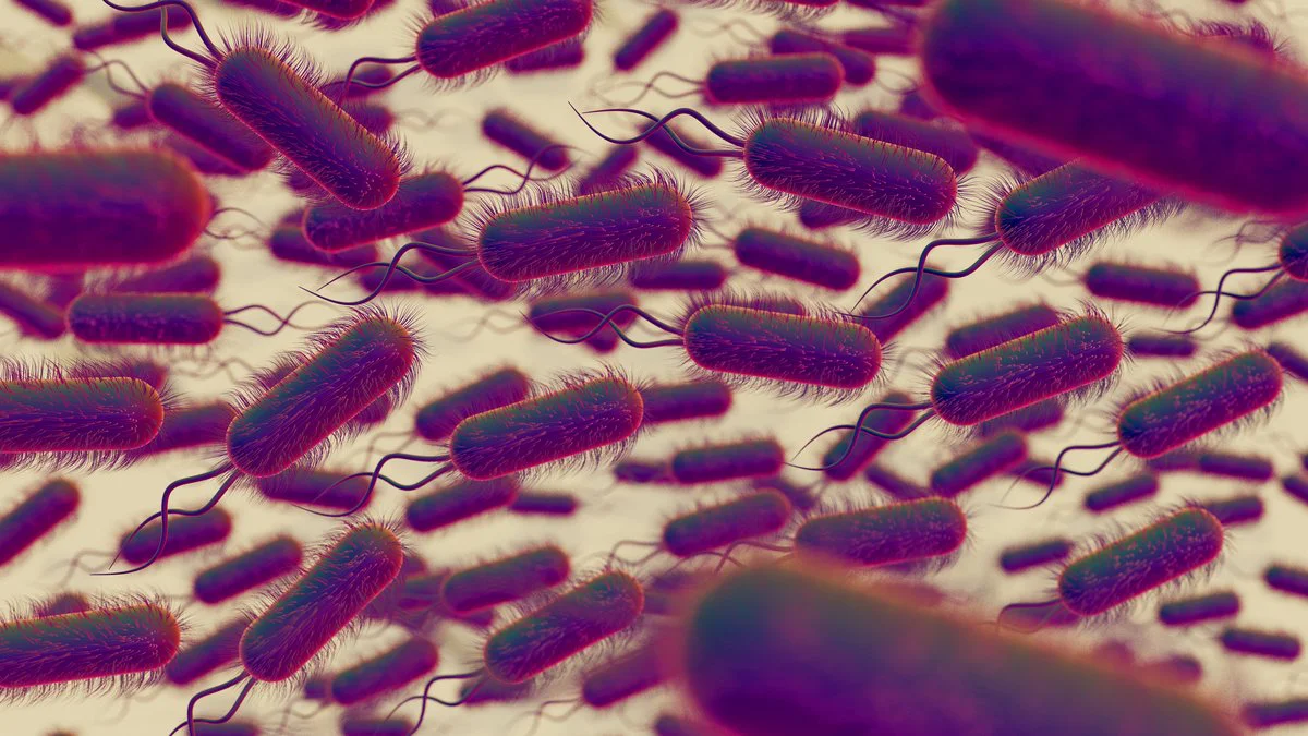 Escherichia coli. Imagen ilustrativa Magnific