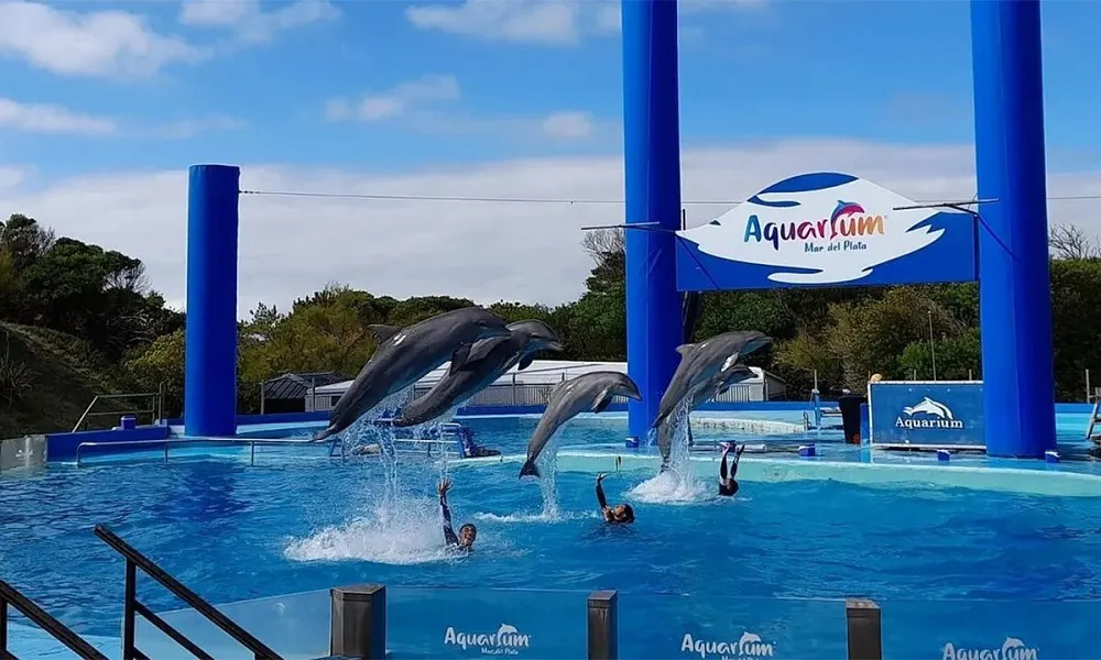 Aquarium Mar del Plata