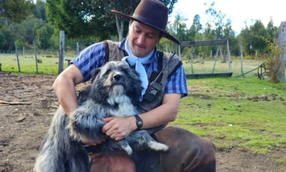 Leleque, el perro que ayudó a econtrar a las mujeres desaparecidas en El Bolsón