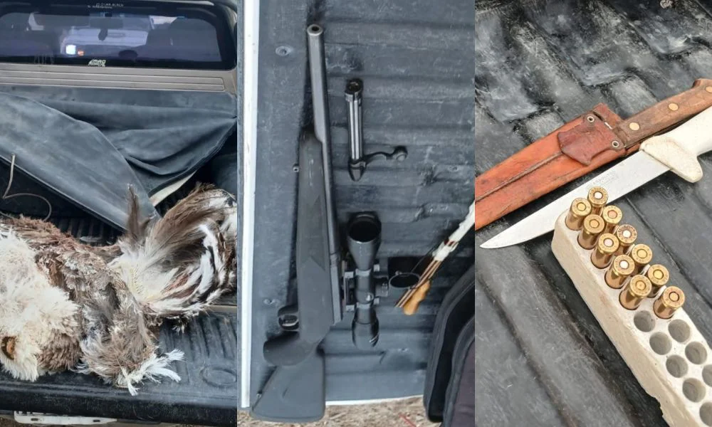 Secuestran un choique y una carabina