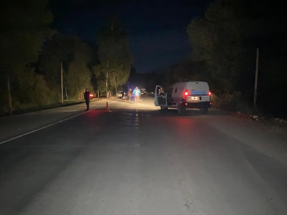 Atropellado en Lago Puelo 1