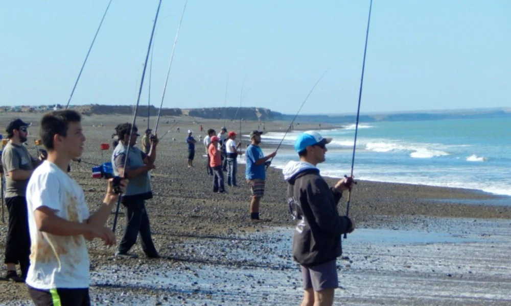 Pesca de Róbalo