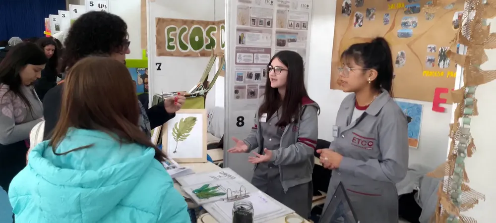 Se realizó en Puerto Madryn la instancia regional de Feria de Ciencias Educativa