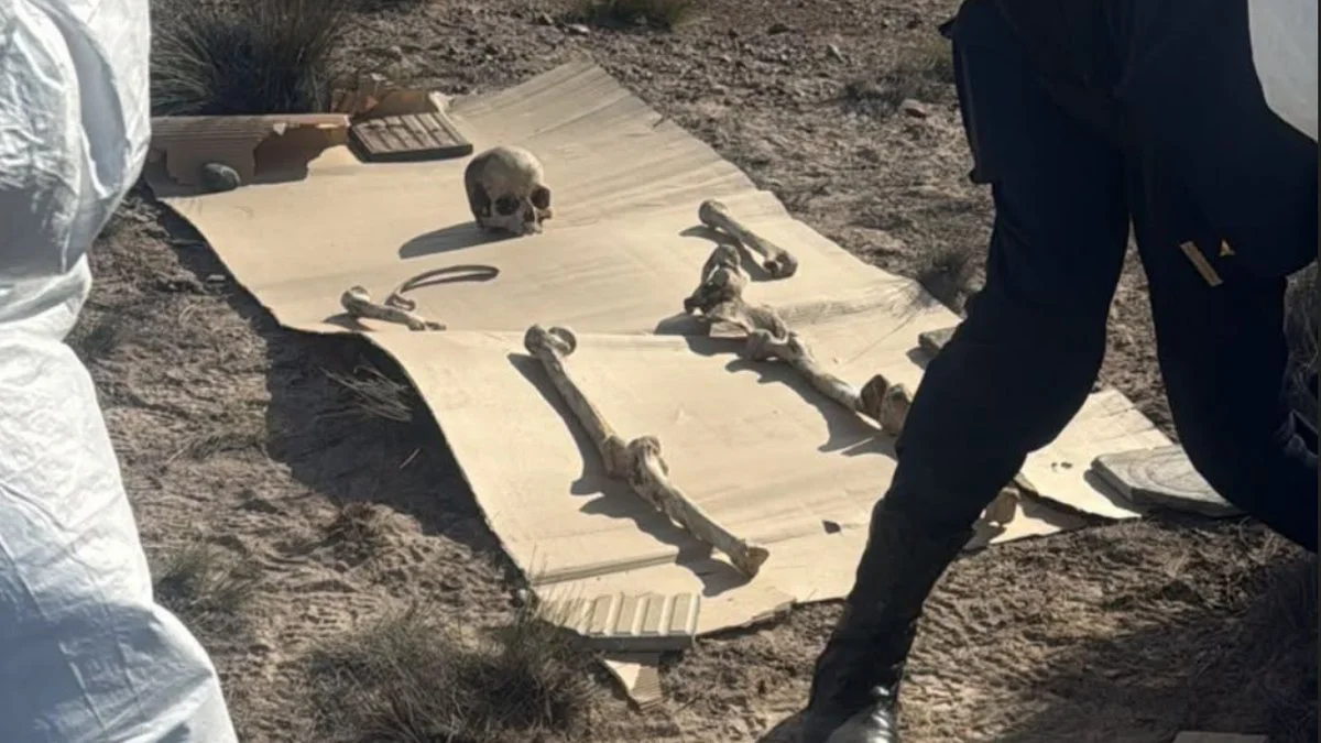 Los restos hallados son arqueologicos