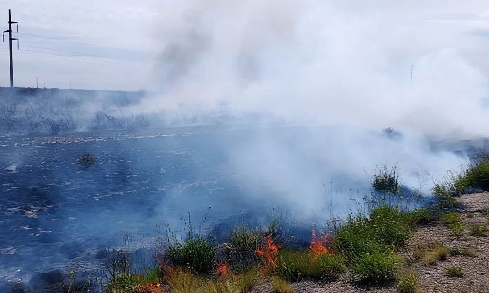 Incendio de Pastizales en la ruta 3 imagen reeditada digitalmente por LA17