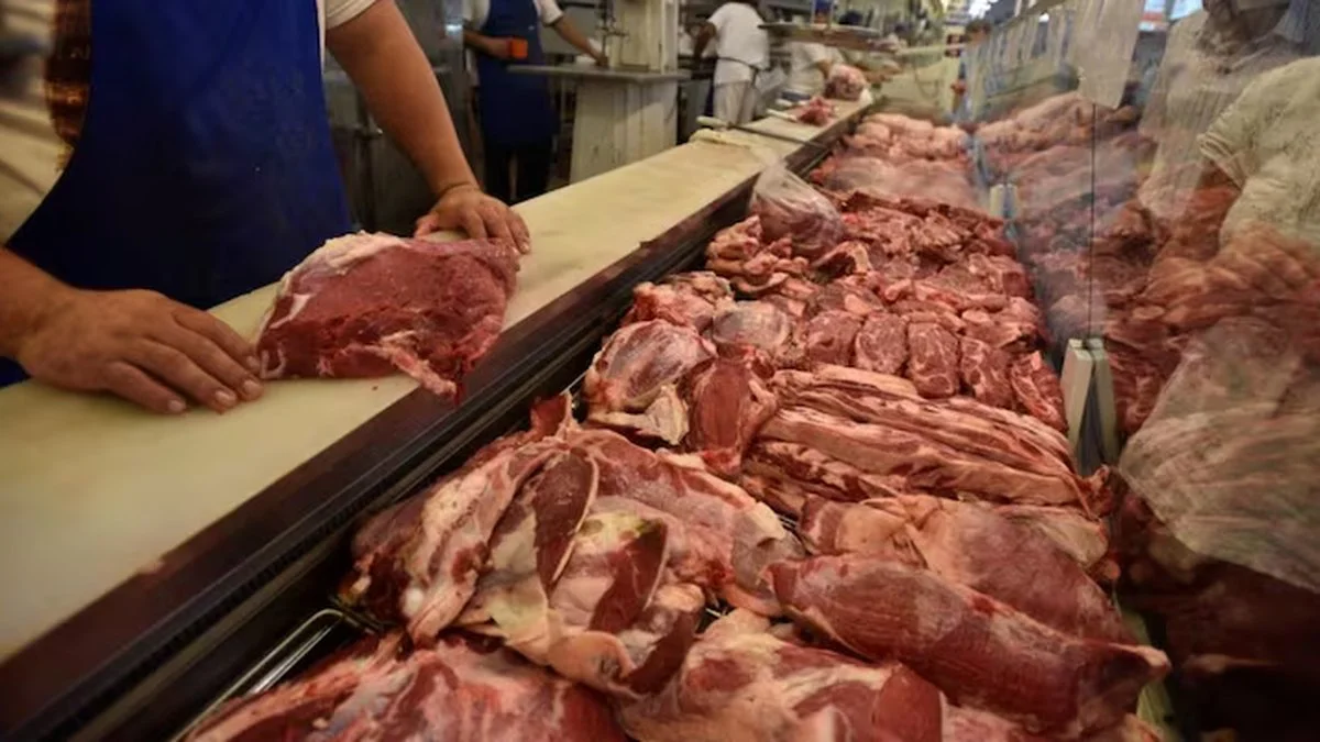 Carne vacuna