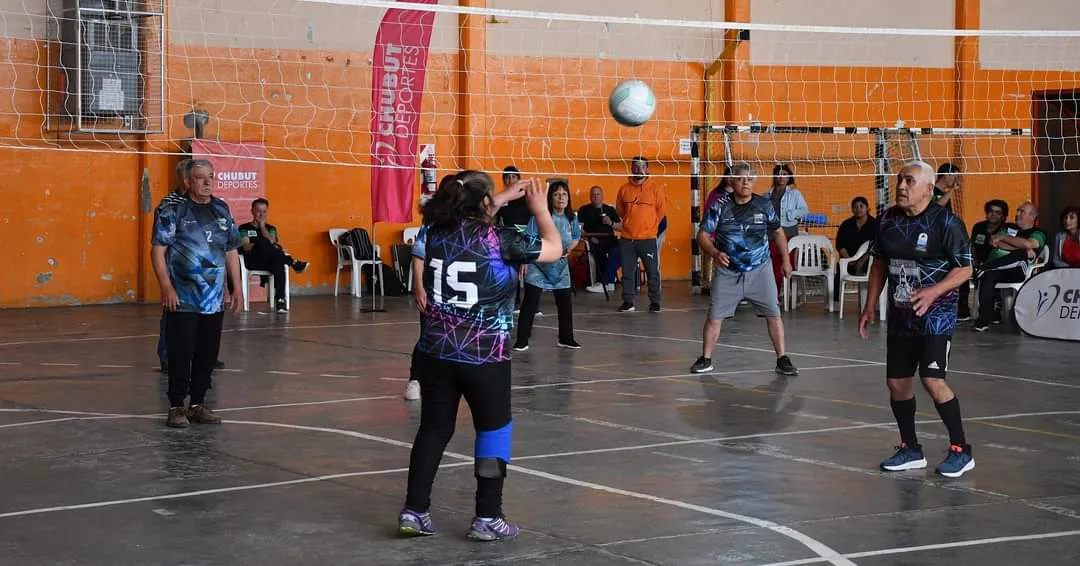 Newcom en Camarones