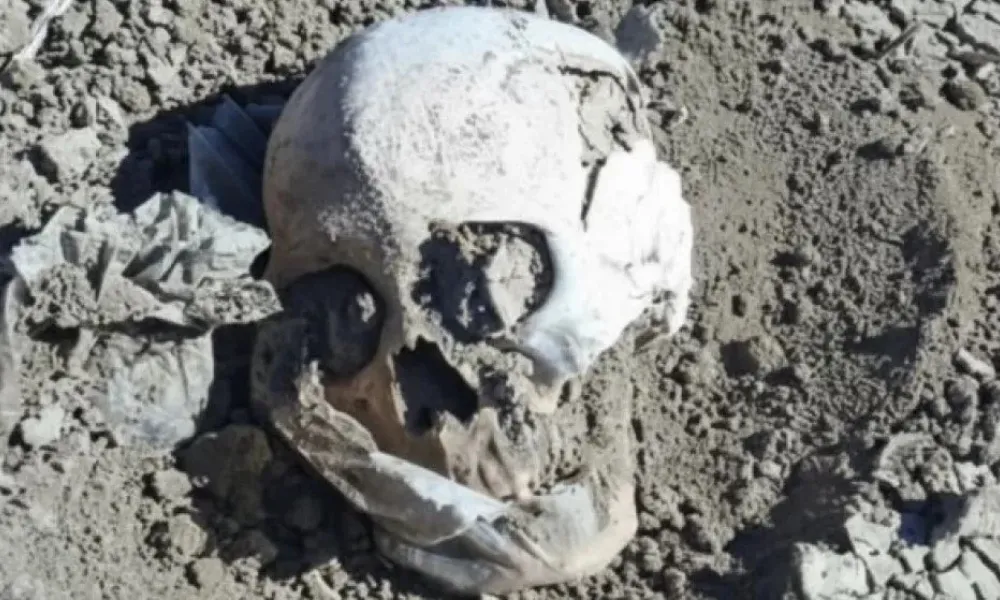 Cráneo hallado en Las Heras