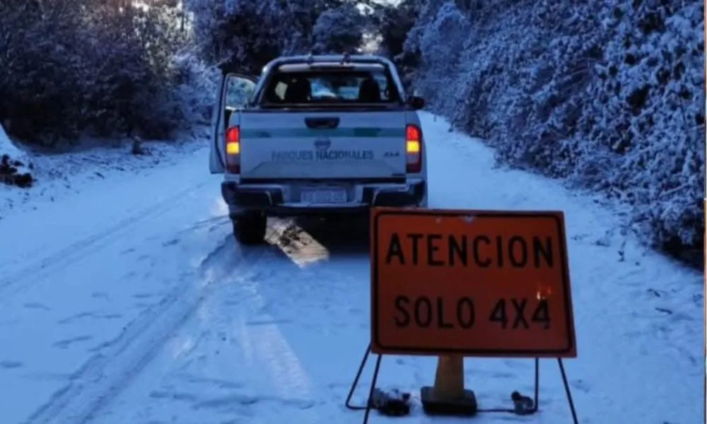 Parque Nacional Los Alerces