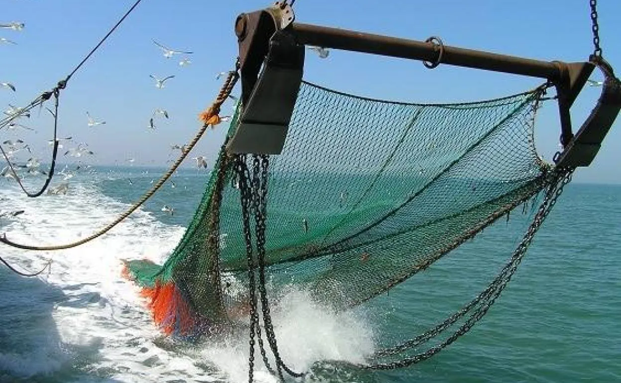 pesca-de-arrastre