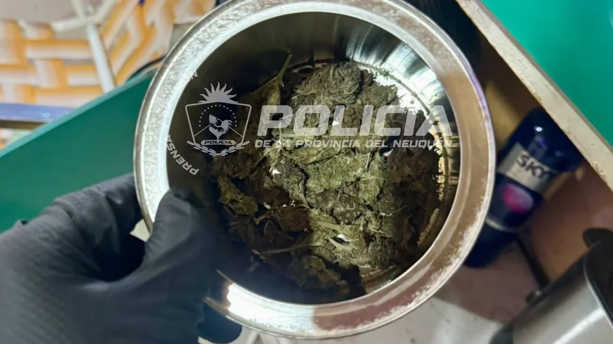 Secuestro de drogas y armas en allanamientos