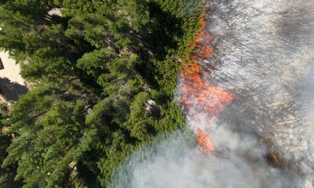 Incendio en El Hoyo