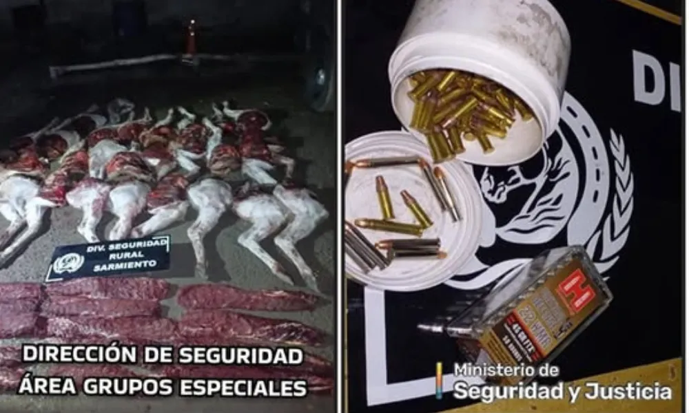 Decomiso de carne y municiones