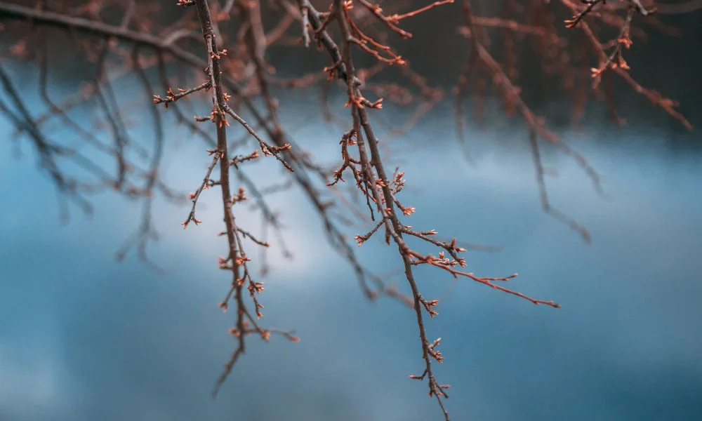 clima frío fuente Freepik