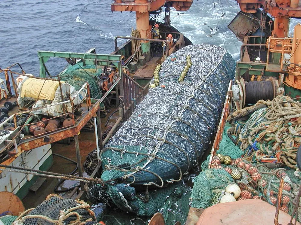Legisladores patagónicos en defensa de la Ley de Pesca