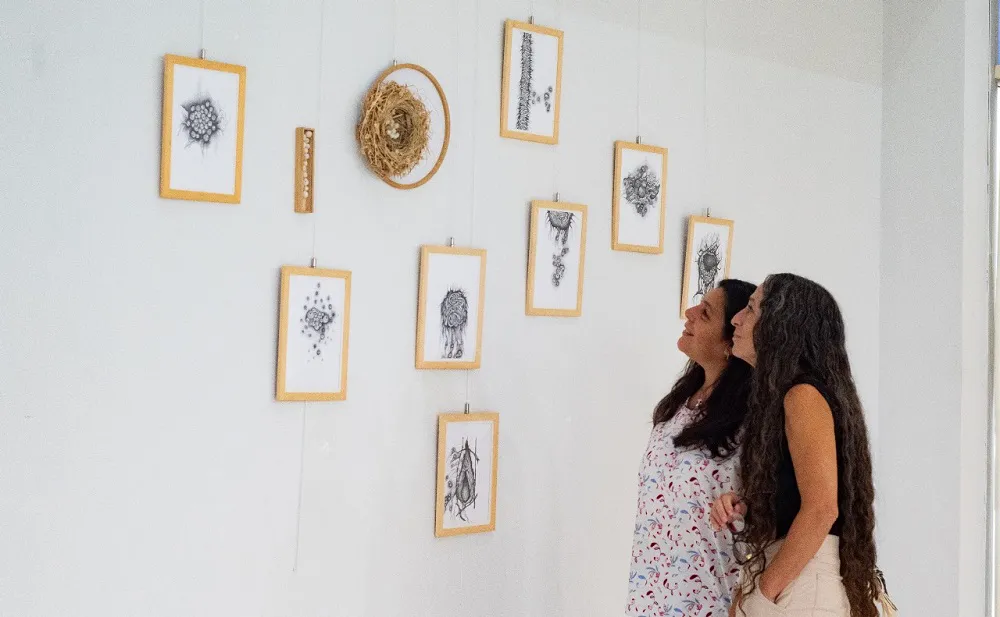 Exposiciones en el CCP de Rawson