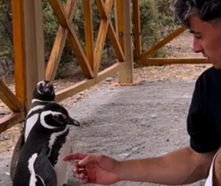 Influencer tocando un pingüino