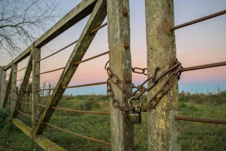 Los extranjeros podrán comprar campos sin restricciones