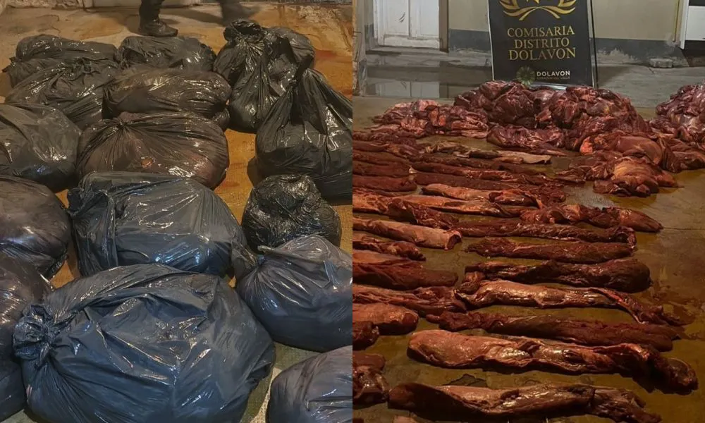 Decomisan carne de guanaco