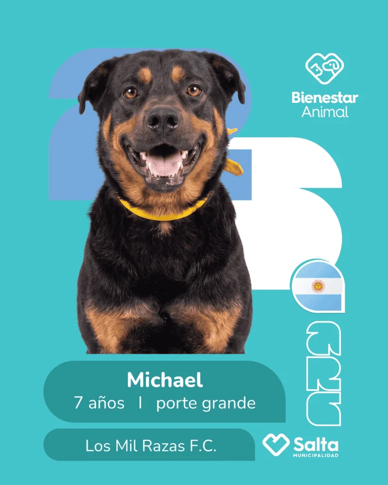 Adopción