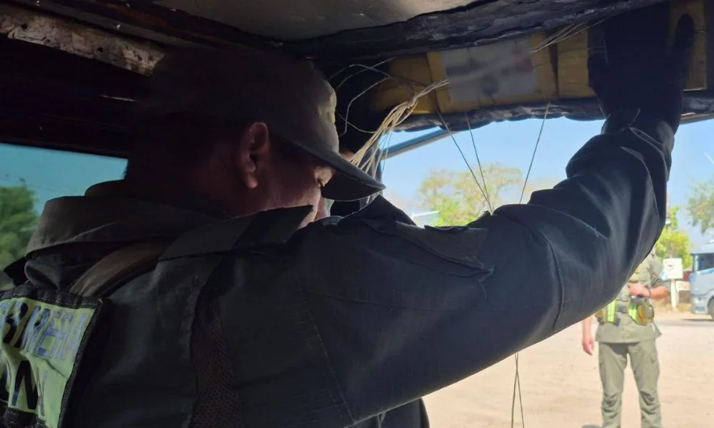 Más de 61 kilos de cocaína viajaban ocultas en un vehículo