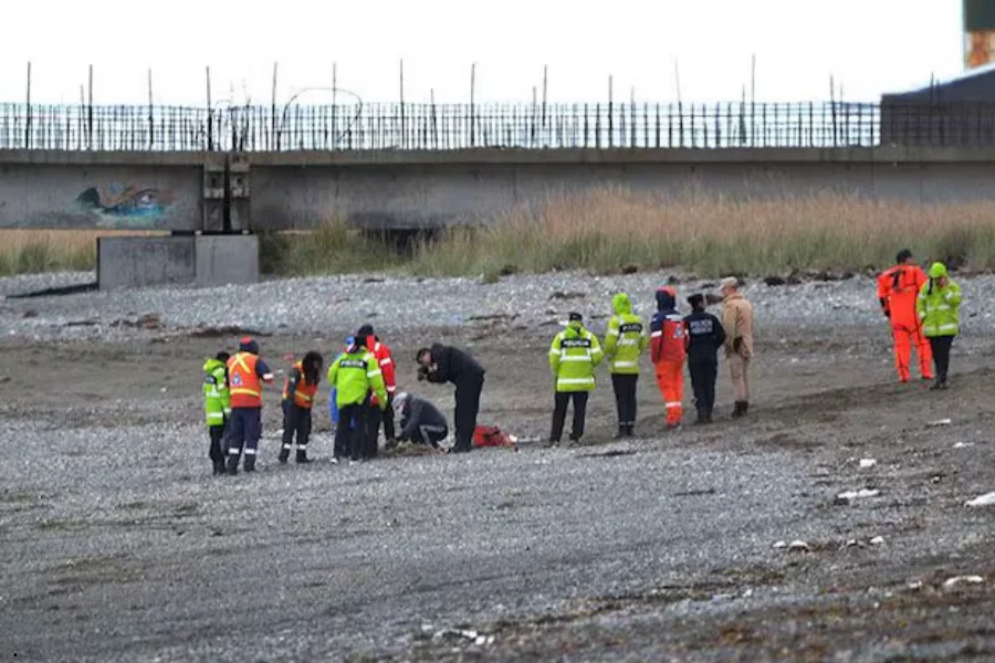 Encontraron muerto a un turista estadounidense en Ushuaia