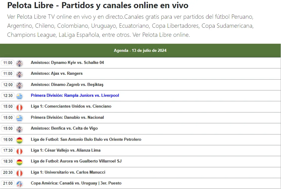 Pelota Libre