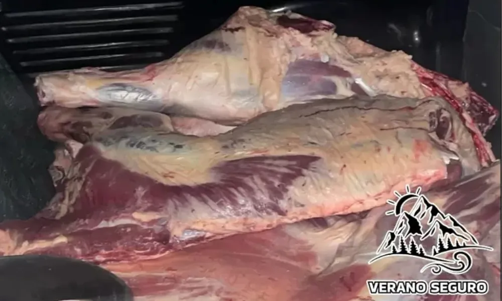 Carne vacuna secuestrada