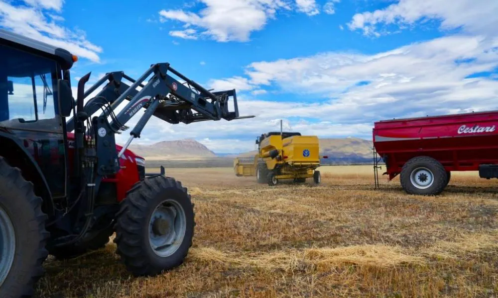 Cosecha de granos en Santa Cruz foto Winsur