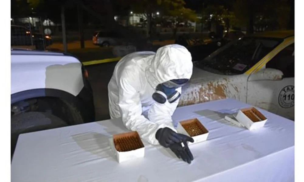 Los agentes detectaron tres cajas ocultas debajo del asiento trasero.