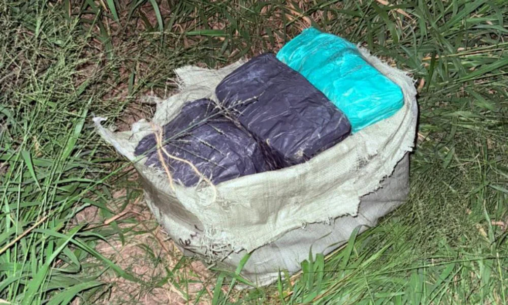 Secuestran 28 kilos de marihuana abandonados en la ruta