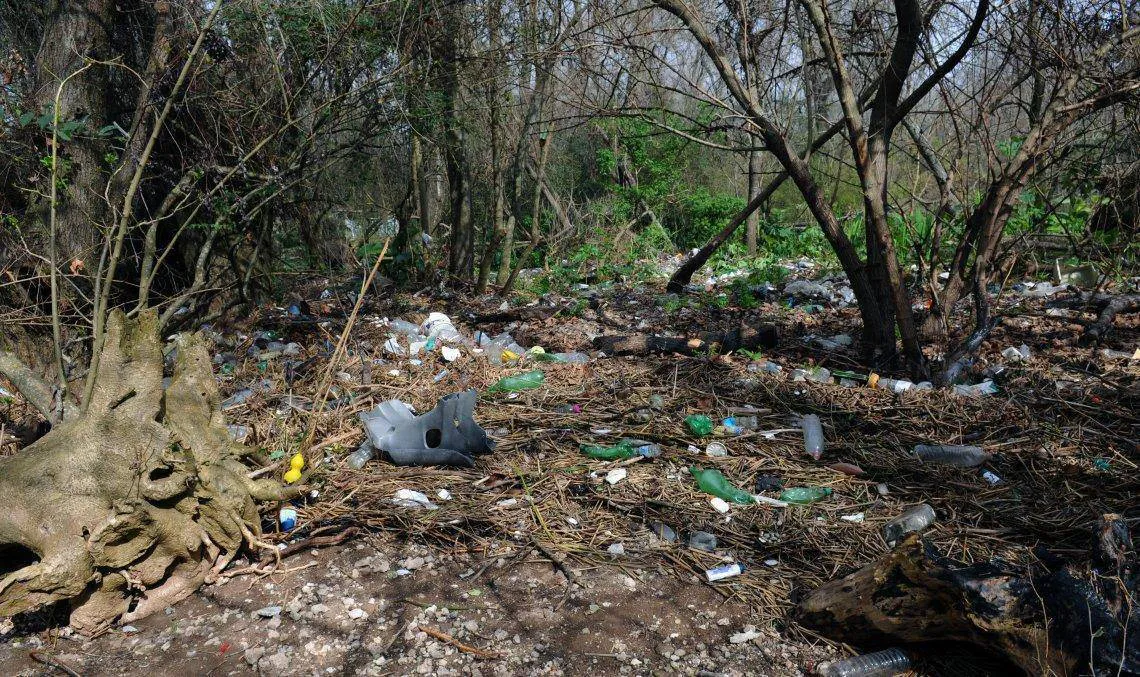 Plásticos en Bosques basura residuos