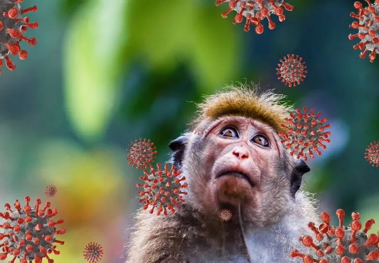 Virus B