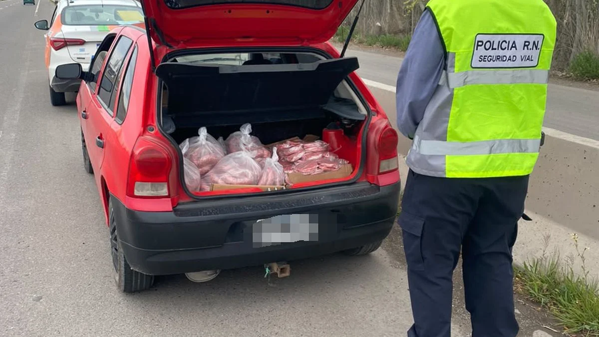 Secuestran 82 kilos de alimentos sin habilitación