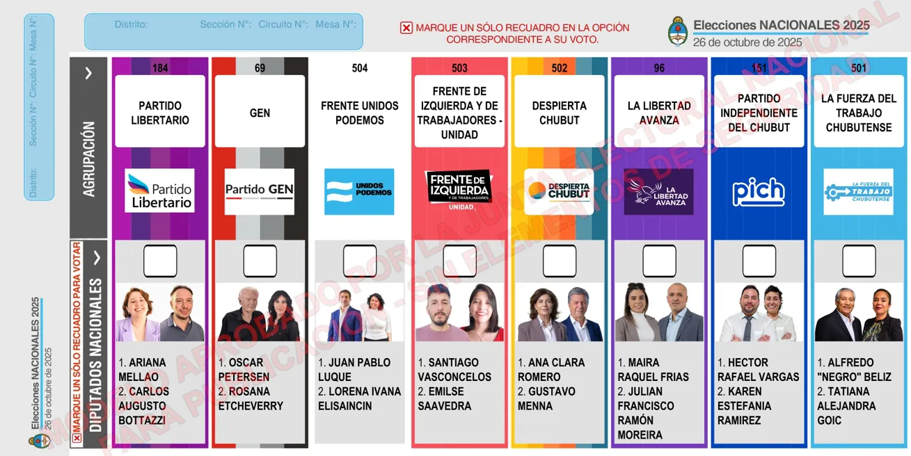 boleta definitiva