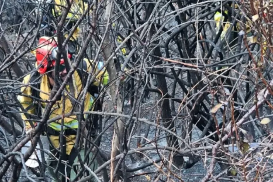 Parque Los Glaciares