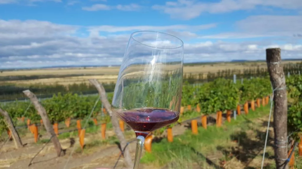 LOS RESTAURANTES DE CHUBUT OFRECERÁN VINOS DE LA PROVINCIA