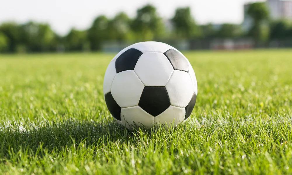 Pelota de fútbol. Foto Magnific