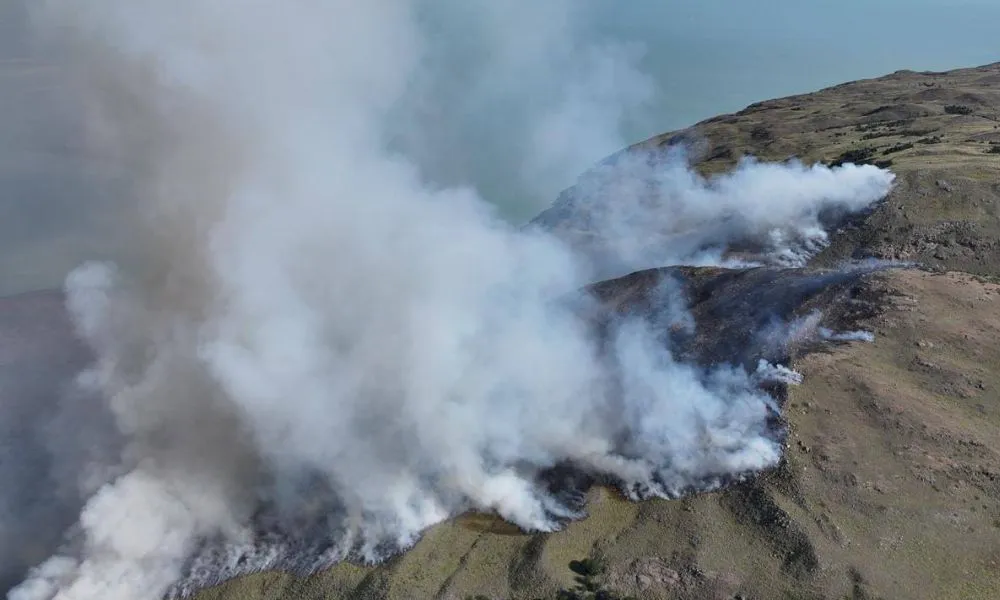 Incendio en el Parque nacional Los Glaciares