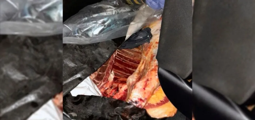 Carne