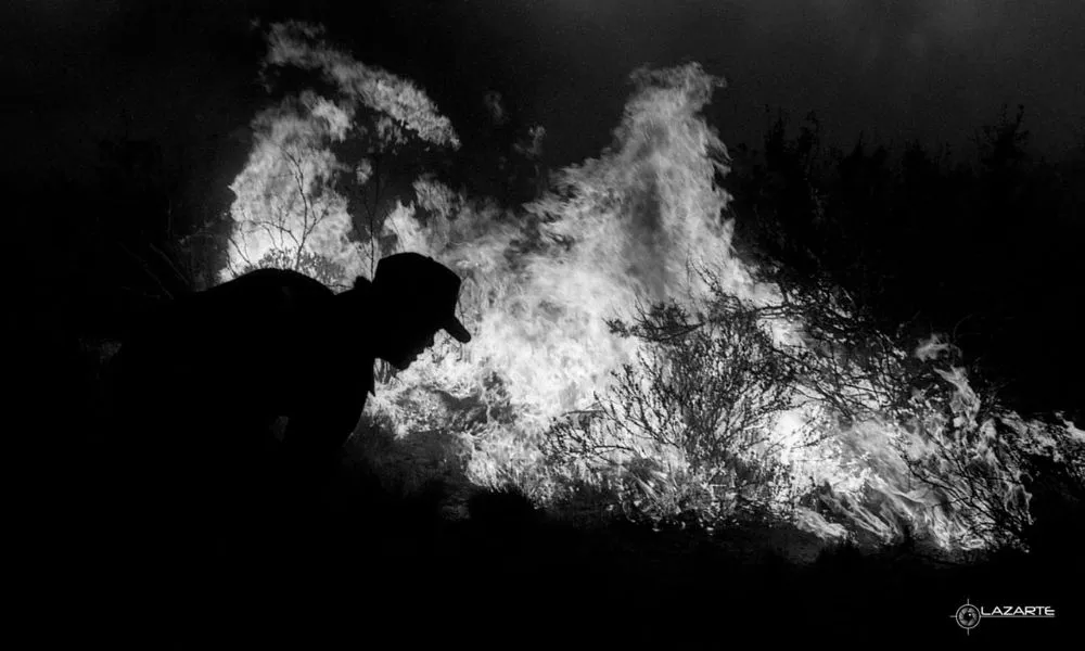 incendio 21 de enero 6