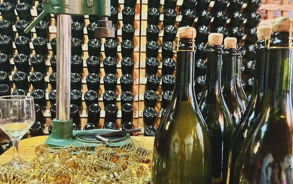 SIDRA EL HOYO_11zon