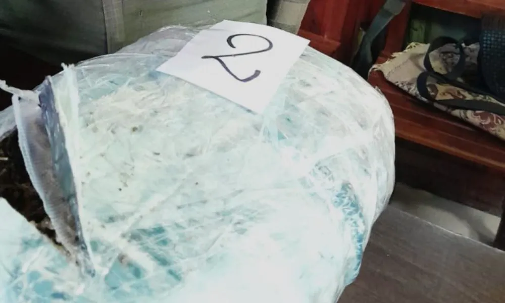 Más de 3 kilos de marihuana