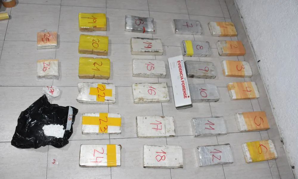 Allanan seis domicilios y desmantelan red que recibía cocaína de avioneta