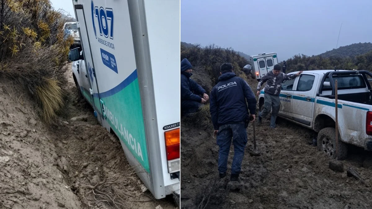 Rescate en Las Cortaderas (LMN)