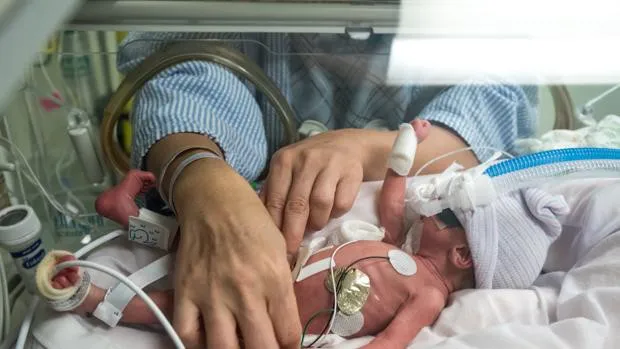 Bebe prematuro+ 1