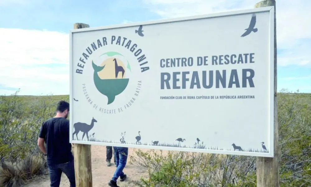 Refaunar